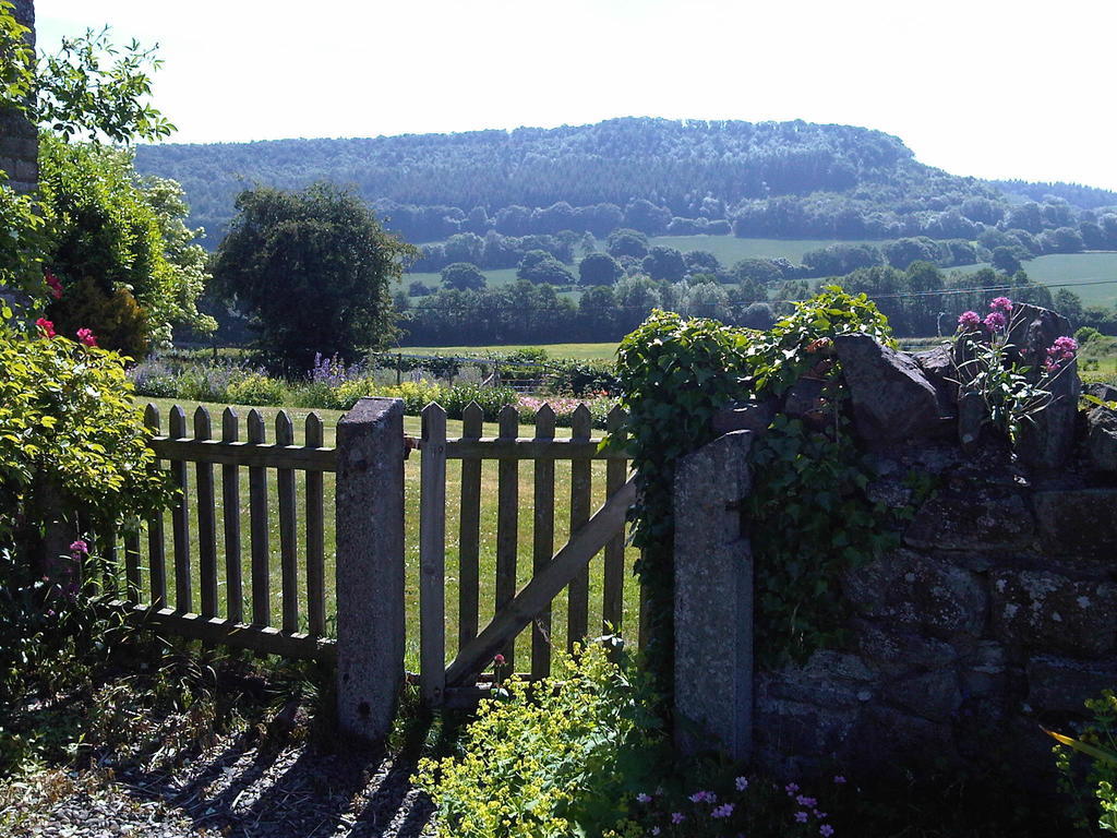 Bed and Breakfast Upper Letton Farm à Leintwardine Extérieur photo